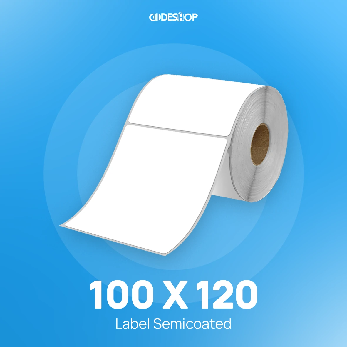 Label Semicoat 1Line 100x120mm 500Pcs